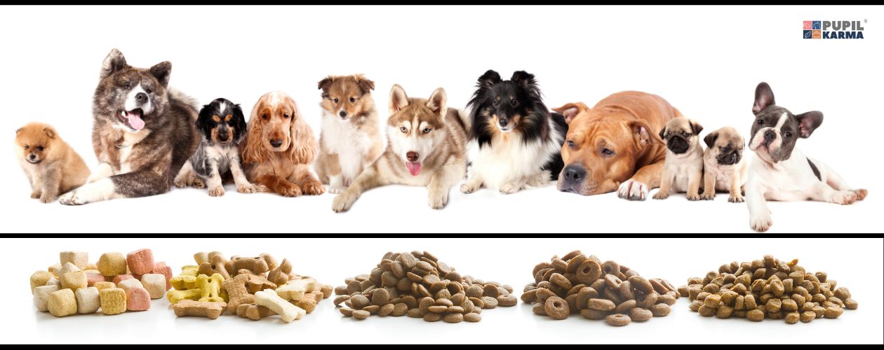 Potrzeby żywieniowe zmieniają się z wiekiem. Na białym tle zdjęcia róznych psów, poniżej zdjęcia różnych karm. Z prawej logo pupilkarma.
